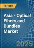 Asia - Optical Fibers and Bundles - Market Analysis, Forecast, Size, Trends and Insights- Product Image