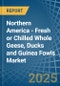 Northern America - Fresh or Chilled Whole Geese, Ducks and Guinea Fowls - Market Analysis, Forecast, Size, Trends and Insights - Product Thumbnail Image