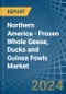 Northern America - Frozen Whole Geese, Ducks and Guinea Fowls - Market Analysis, Forecast, Size, Trends and Insights - Product Image