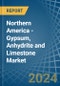 Northern America - Gypsum, Anhydrite and Limestone - Market Analysis, Forecast, Size, Trends and Insights - Product Thumbnail Image