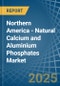 Northern America - Natural Calcium and Aluminium Phosphates - Market Analysis, Forecast, Size, Trends and Insights - Product Thumbnail Image