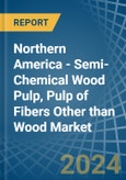 Northern America - Semi-Chemical Wood Pulp, Pulp of Fibers Other than Wood - Market Analysis, Forecast, Size, Trends and Insights- Product Image