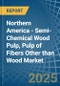 Northern America - Semi-Chemical Wood Pulp, Pulp of Fibers Other than Wood - Market Analysis, Forecast, Size, Trends and Insights - Product Image