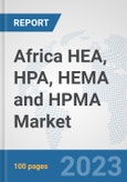 Africa HEA, HPA, HEMA and HPMA Market: Prospects, Trends Analysis, Market Size and Forecasts up to 2030- Product Image