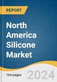 North America Silicone Market Size, Share & Trends Analysis By Product (Fluids, Gels, Resins, Elastomers), By End-use (Electronics, Transportation, Construction, Energy, Healthcare), By Region, And Segment Forecasts, 2023 - 2030- Product Image