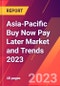 Asia-Pacific Buy Now Pay Later Market and Trends 2023 - Product Image