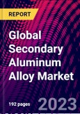 Global Secondary Aluminum Alloy Market- Product Image