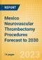 Mexico Neurovascular Thrombectomy Procedures Forecast to 2030 - Aspiration Catheters, Stent Retriever and Stent Retriever + Aspiration Catheter Combination Procedures - Product Image