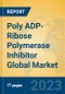 Poly ADP-Ribose Polymerase Inhibitor Global Market Insights 2023, Analysis and Forecast to 2028, by Manufacturers, Regions, Technology, Application, Product Type - Product Image
