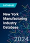 New York Manufacturing Industry Database - Product Thumbnail Image