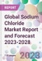 Global Sodium Chloride Market Report and Forecast 2023-2028 - Product Image