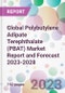 Global Polybutylene Adipate Terephthalate (PBAT) Market Report and Forecast 2023-2028 - Product Image