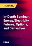 In-Depth Seminar: Energy/Electricity Futures, Options, and Derivatives (New York, NY, United States)- Product Image