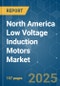 North America Low Voltage Induction Motors - Market Share Analysis, Industry Trends & Statistics, Growth Forecasts (2025 - 2030) - Product Image