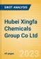 Hubei Xingfa Chemicals Group Co Ltd (600141) - Financial and Strategic SWOT Analysis Review - Product Thumbnail Image