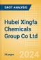 Hubei Xingfa Chemicals Group Co Ltd (600141) - Financial and Strategic SWOT Analysis Review - Product Thumbnail Image