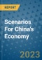 Scenarios For China's Economy - Product Thumbnail Image