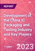 Development of the China IC Packaging and Testing Industry and Key Players- Product Image