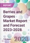 Berries and Grapes Market Report and Forecast 2023-2028 - Product Thumbnail Image