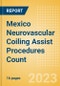 Mexico Neurovascular Coiling Assist Procedures Count by Segments and Forecast to 2030 - Product Thumbnail Image