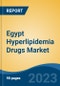 Egypt Hyperlipidemia Drugs Market Competition, Forecast and Opportunities, 2028 - Product Thumbnail Image