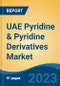 UAE Pyridine & Pyridine Derivatives Market Competition, Forecast and Opportunities, 2028 - Product Image
