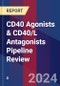 CD40 Agonists & CD40/L Antagonists Pipeline Review - Product Image