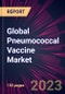 Global Pneumococcal Vaccine Market 2023-2027 - Product Thumbnail Image