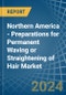Northern America - Preparations for Permanent Waving or Straightening of Hair - Market Analysis, forecast, Size, Trends and Insights - Product Thumbnail Image