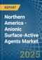 Northern America - Anionic Surface-Active Agents (Excluding Soap) - Market Analysis, Forecast, Size, Trends and Insights - Product Thumbnail Image