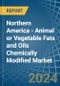 Northern America - Animal or Vegetable Fats and Oils Chemically Modified - Market Analysis, Forecast, Size, Trends and Insights - Product Image