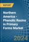 Northern America - Phenolic Resins in Primary Forms - Market Analysis, Forecast, Size, Trends and insights - Product Thumbnail Image
