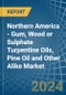 Northern America - Gum, Wood or Sulphate Turpentine Oils, Pine Oil and Other Alike - Market Analysis, Forecast, Size, Trends and Insights - Product Thumbnail Image