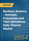 Northern America - Aromatic Polyamines and Their Derivatives, Salts Thereof - Market Analysis, Forecast, Size, Trends and Insights- Product Image