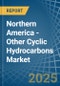 Northern America - Other Cyclic Hydrocarbons - Market Analysis, Forecast, Size, Trends and Insights - Product Image