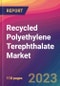 Recycled Polyethylene Terephthalate (PET) Market Size, Market Share, Application Analysis, Regional Outlook, Growth Trends, Key Players, Competitive Strategies and Forecasts - 2023 to 2031 - Product Image