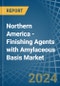 Northern America - Finishing Agents with Amylaceous Basis - Market Analysis, Forecast, Size, Trends and Insights - Product Image