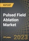 Pulsed Field Ablation Market by Therapeutic Area, Product Components, Application Areas, Source of Ablation, and Key Geographical Regions: Market Share of Key Companies, Industry Trends and Global Forecasts, 2023-2035 - Product Thumbnail Image