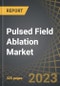 Pulsed Field Ablation Market by Therapeutic Area, Product Components, Application Areas, Source of Ablation, and Key Geographical Regions: Market Share of Key Companies, Industry Trends and Global Forecasts, 2023-2035 - Product Image