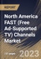 North America FAST (Free Ad-Supported TV) Channels Market Size, Share & Industry Trends Analysis Report By Type (Linear Channels, and Video on Demand), By Content Type, By Distribution Platform, By Country and Growth Forecast, 2023 - 2030 - Product Thumbnail Image