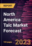 North America Talc Market Forecast to 2028 -Regional Analysis- Product Image