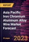 Asia Pacific Iron Chromium Aluminum Alloy Wire Market Forecast to 2028 -Regional Analysis - Product Thumbnail Image