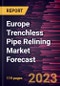 Europe Trenchless Pipe Relining Market Forecast to 2028 -Regional Analysis - Product Image