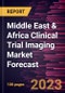 Middle East & Africa Clinical Trial Imaging Market Forecast to 2028 -Regional Analysis - Product Image