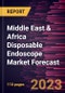 Middle East & Africa Disposable Endoscope Market Forecast to 2028 -Regional Analysis - Product Image