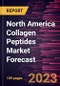 North America Collagen Peptides Market Forecast to 2030 -Regional Analysis - Product Image