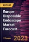 Europe Disposable Endoscope Market Forecast to 2028 -Regional Analysis - Product Image