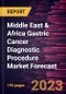 Middle East & Africa Gastric Cancer Diagnostic Procedure Market Forecast to 2028 -Regional Analysis - Product Image