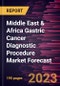 Middle East & Africa Gastric Cancer Diagnostic Procedure Market Forecast to 2028 -Regional Analysis - Product Image