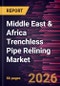 Middle East & Africa Trenchless Pipe Relining Market Size and Forecast (2021 - 2031), Regional Share, Trend, and Growth Opportunity Analysis - Product Image